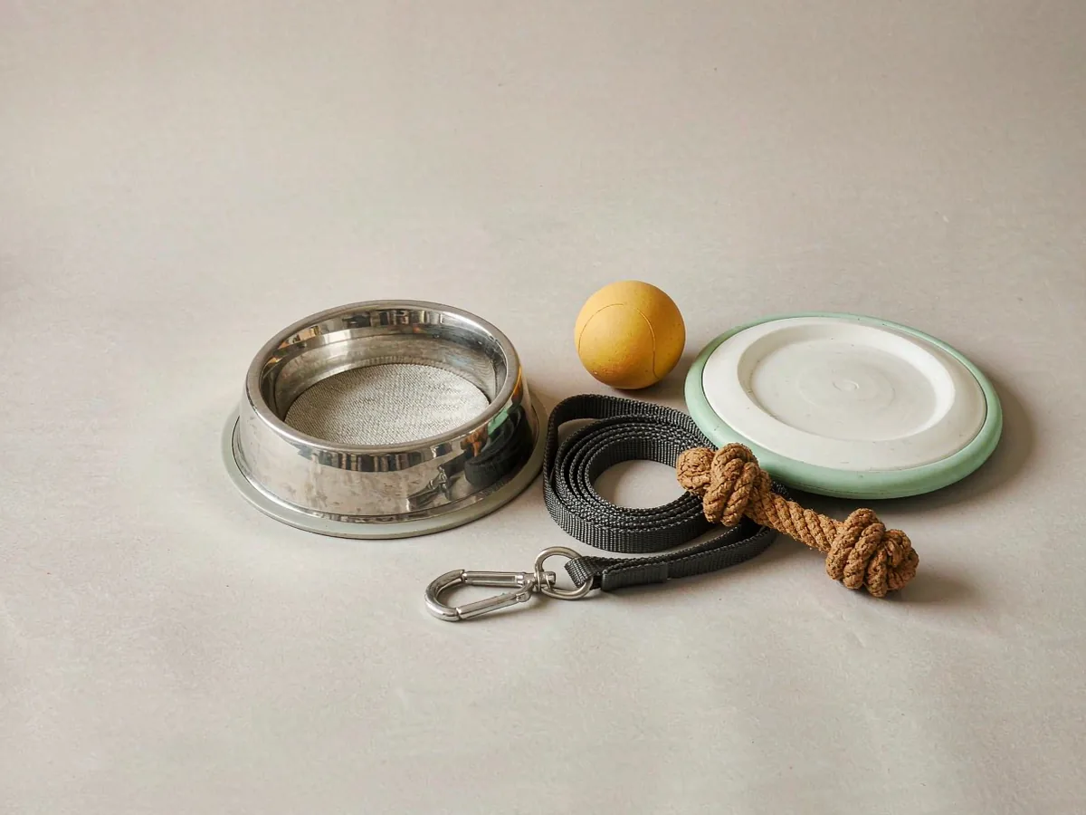 A stainless pet bowl, a rubber ball, a flying disc, a nylon leash and a rope toy resting on a pale surface.